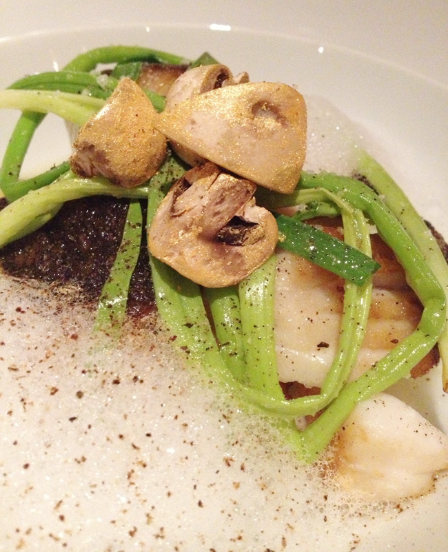 porcini-feature